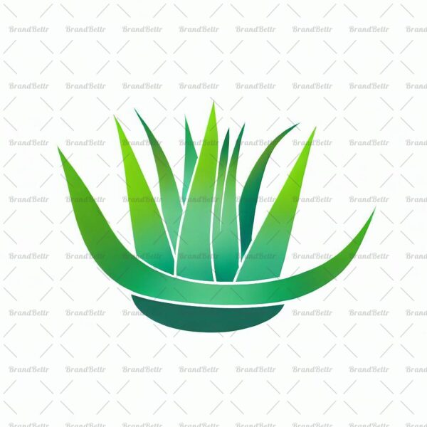 Aloe