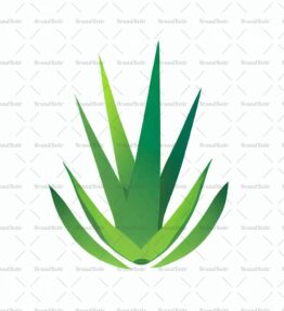 Aloe