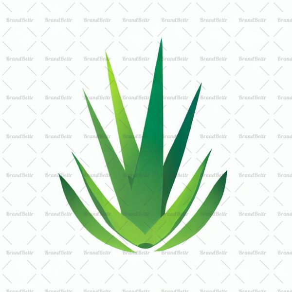 Aloe