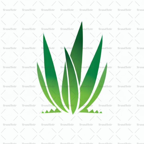 Aloe