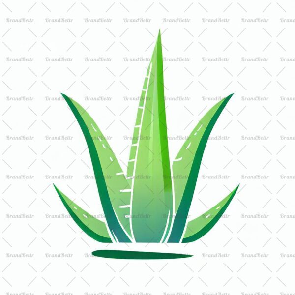 Aloe