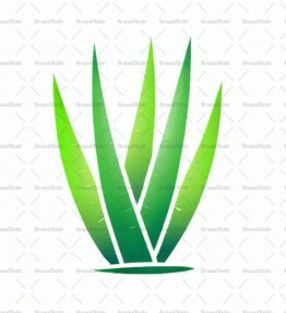 Aloe