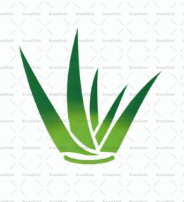 Aloe