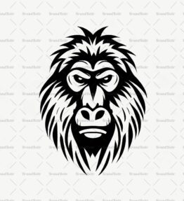 Baboon