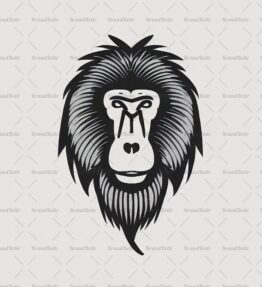 Baboon