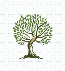 Baum