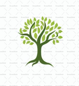Baum