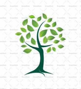 Baum