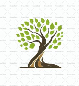 Baum
