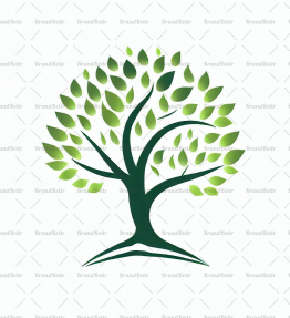 Baum
