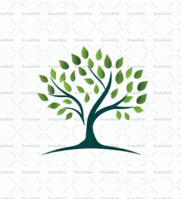 Baum