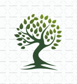 Baum