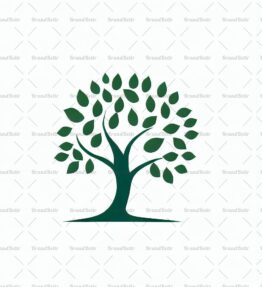 Baum