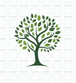 Baum