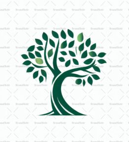 Baum