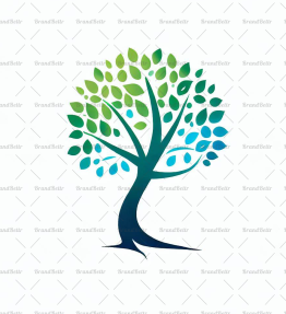 Baum