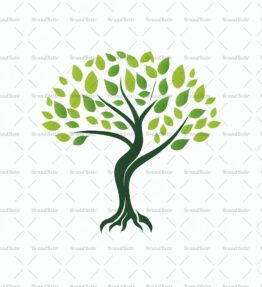Baum