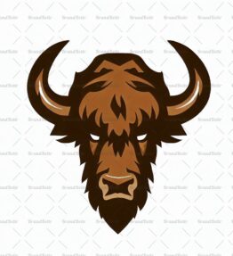 Bison