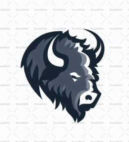 Bison