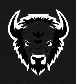 Bison