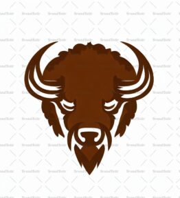 Bison