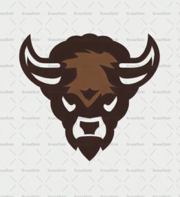 Bison
