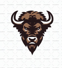 Bison