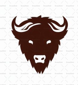 Bison