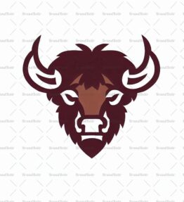 Bison