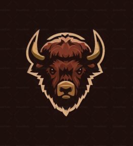 Bison