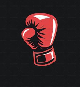 Boxhandschuh