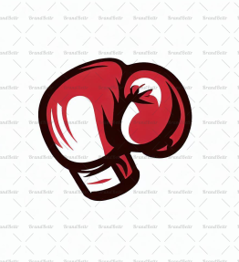 Boxhandschuh