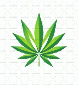 Cannabis