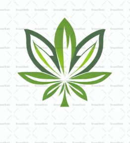 Cannabis