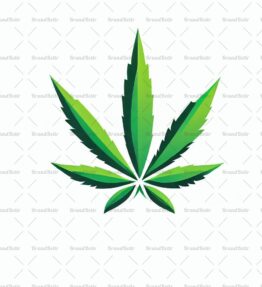 Cannabis
