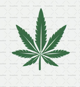 Cannabis