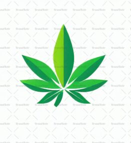 Cannabis