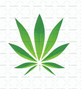 Cannabis