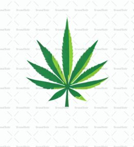Cannabis