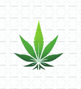Cannabis