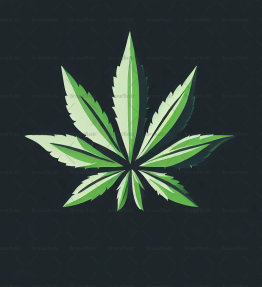Cannabis