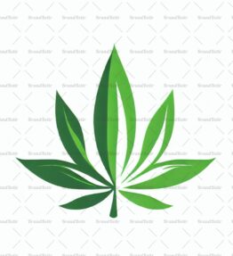 Cannabis