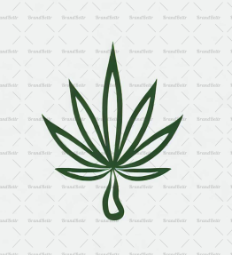Cannabis