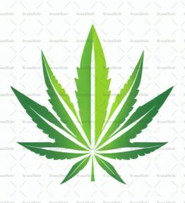 Cannabis