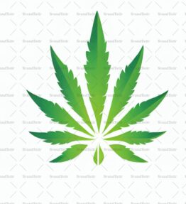 Cannabis