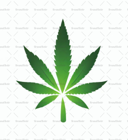 Cannabis