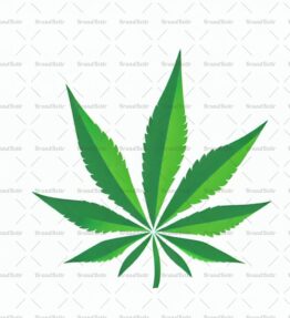 Cannabis