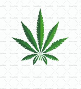 Cannabis