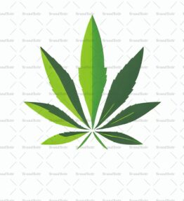 Cannabis