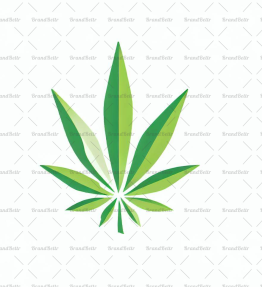 Cannabis